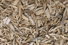biomass boilers Rushgreen