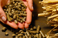 free Rushgreen biomass boiler quotes